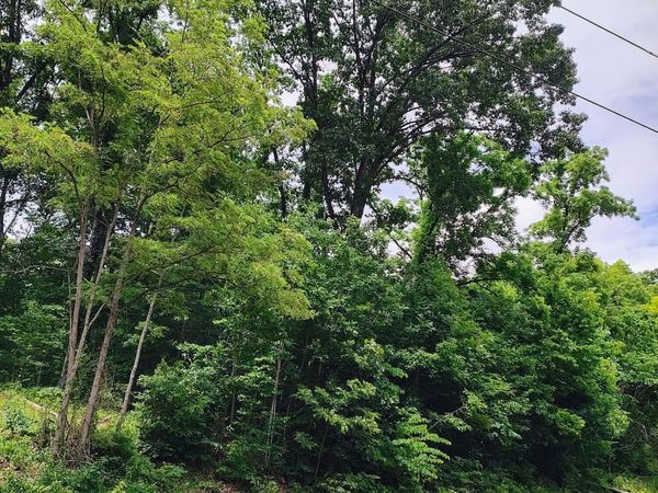 Lot 5 Pond Springs W Road, Kingsport, TN 37664
