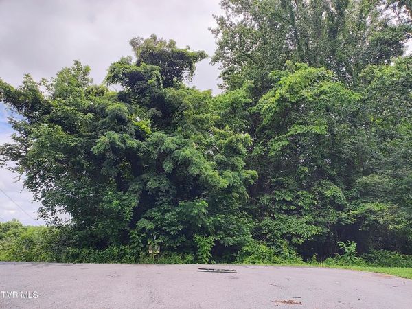 Lot 51 Raven Circle, Kingsport, TN 37664