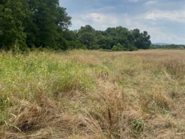 Lot 62 Riverside Estates PH IV, Goshen, AR 72701