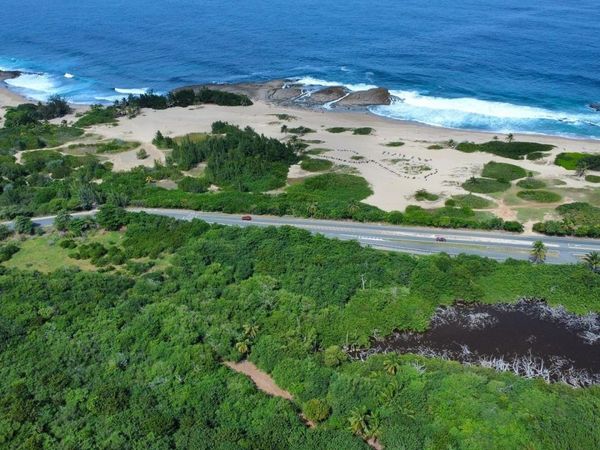 Km 11.7 SR 466, Isabela, PR 00662