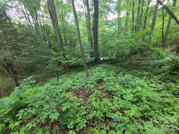 00 Serendipity Lane, Waynesville, NC 28785
