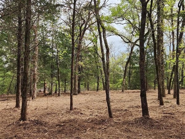 Lot 465 CR-4710, Larue, TX 75770