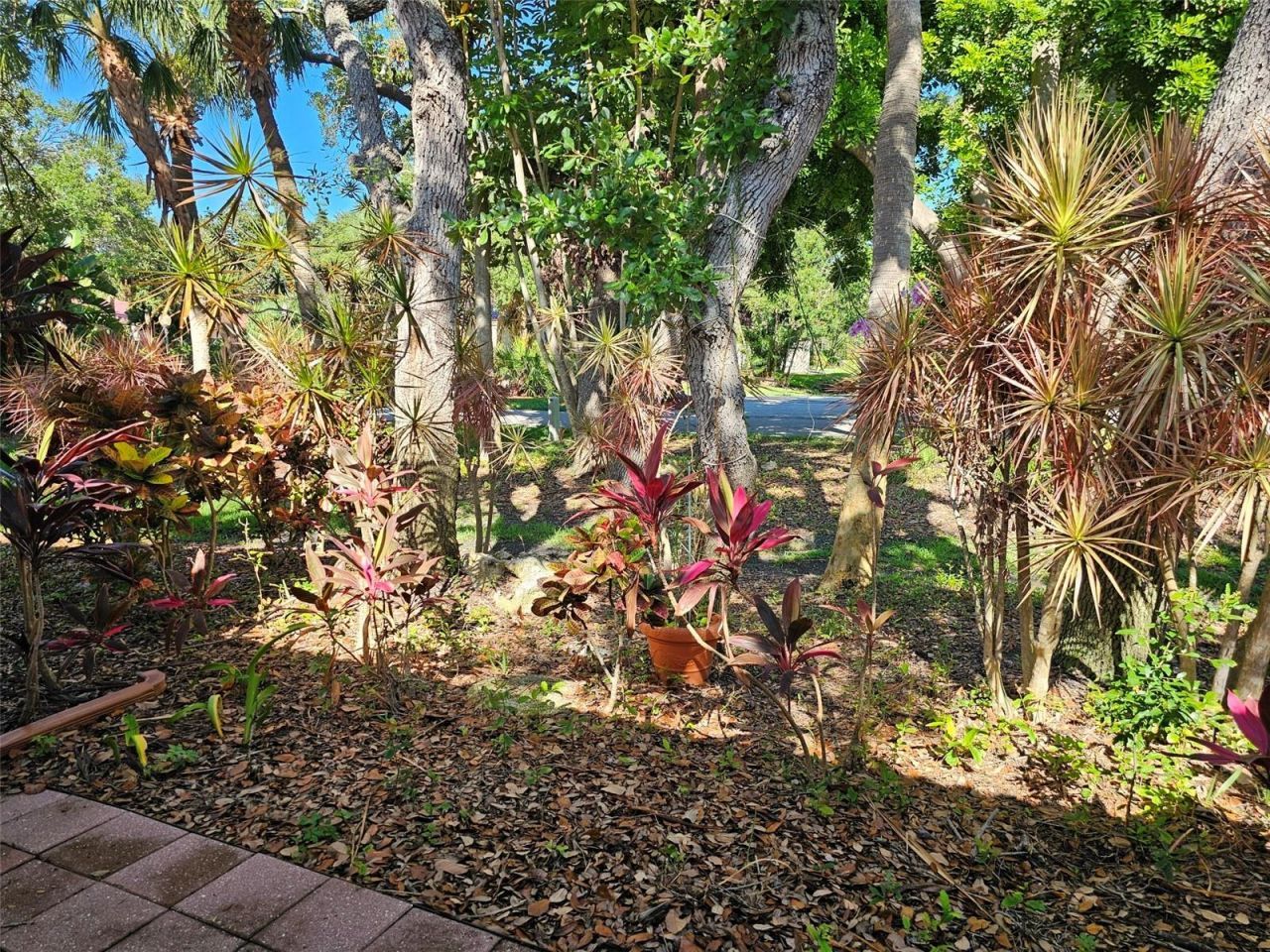 3426 Wood Owl Circle, Bradenton, FL 34210 Photo