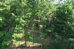 Tbd Highway 762 photo 4