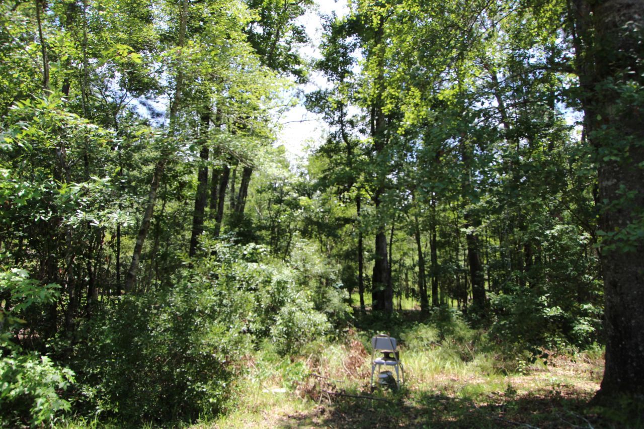 131 Gloverville Lane Photo 6