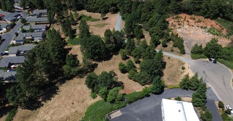 Whitcomb Ave, Colfax, CA 95713 Photo