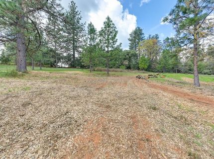 Whitcomb Ave, Colfax, CA 95713 Photo