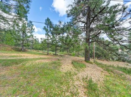 Whitcomb Ave, Colfax, CA 95713 Photo