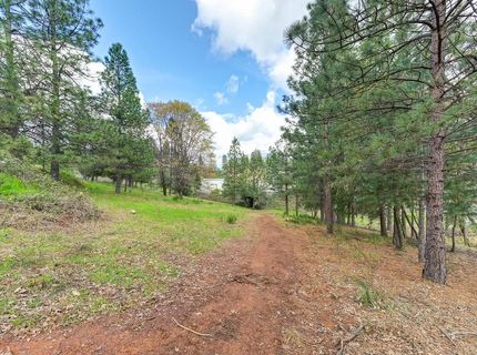 Whitcomb Ave, Colfax, CA 95713 Photo