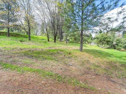 Whitcomb Ave, Colfax, CA 95713 Photo