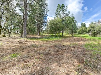 Whitcomb Ave, Colfax, CA 95713 Photo