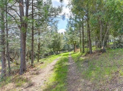 Whitcomb Ave, Colfax, CA 95713 Photo