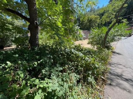 3095 Cedar Ravine Rd, Placerville, CA 95667 Photo