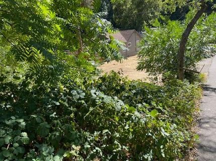 3095 Cedar Ravine Rd, Placerville, CA 95667 Photo