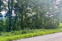 8946 Anderson Road photo 4