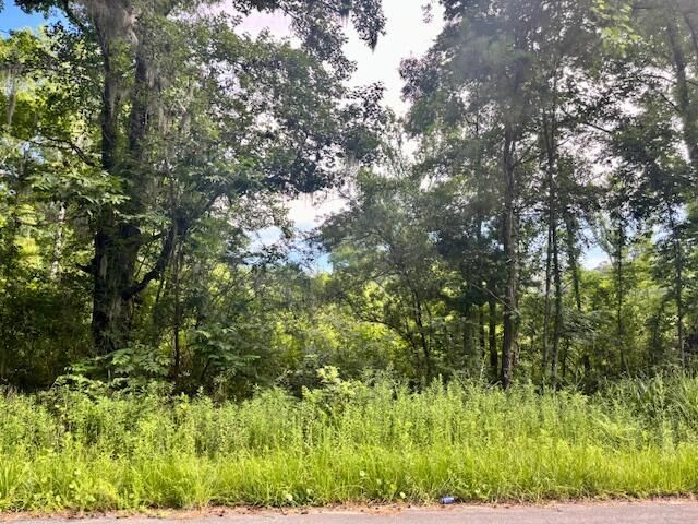 8946 Anderson Road Photo 5