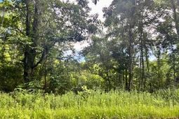 8946 Anderson Road photo 4