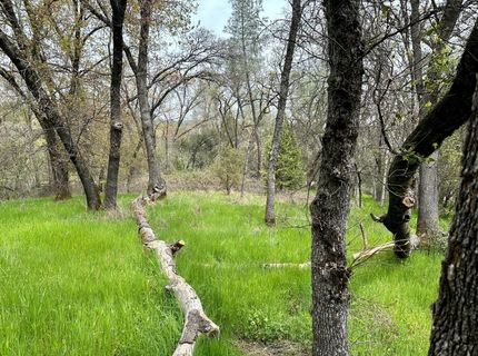 1 Joeger Rd, Auburn, CA 95602 Photo