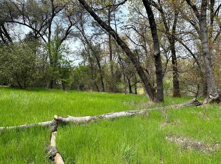 1 Joeger Rd, Auburn, CA 95602 Photo