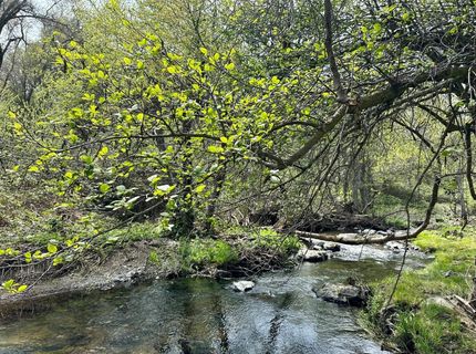 1 Joeger Rd, Auburn, CA 95602 Photo