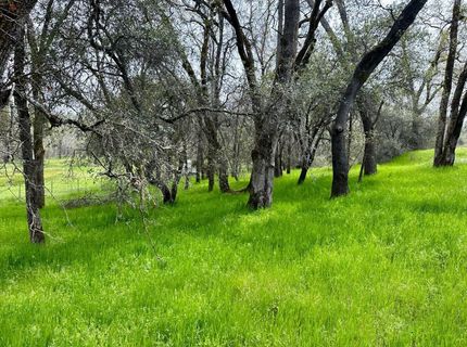 1 Joeger Rd, Auburn, CA 95602 Photo