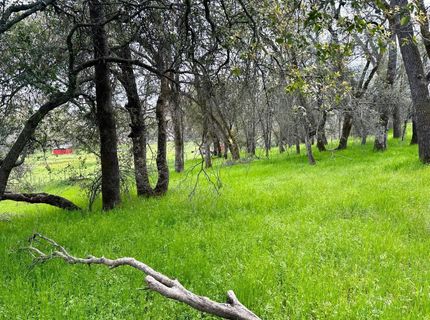 1 Joeger Rd, Auburn, CA 95602 Photo