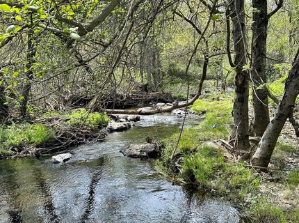 1 Joeger Rd, Auburn, CA 95602 Photo