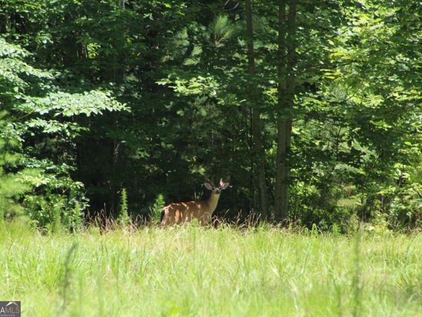 0 Jumper Drive, Ellijay, GA 30540