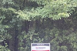 11 Otter Trail Ct photo 4