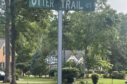 11 Otter Trail Ct photo 4