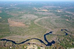 Tbd Grahamville Rd. photo 4