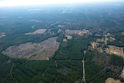 Tbd Grahamville Rd. photo 4