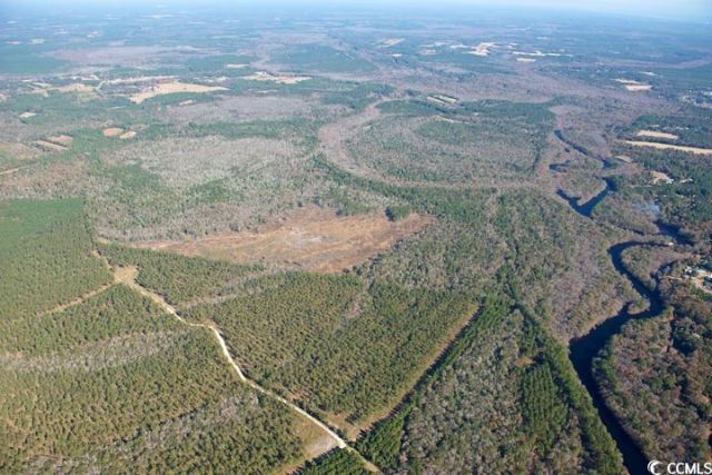 Tbd Grahamville Rd. Photo 5