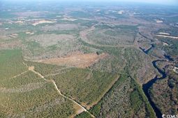 Tbd Grahamville Rd. photo 4