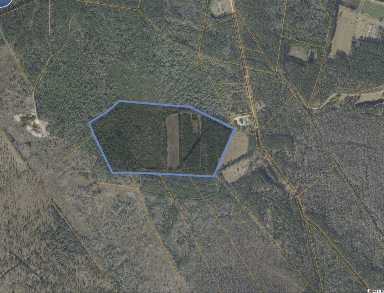 Tbd Grahamville Rd. Photo 6