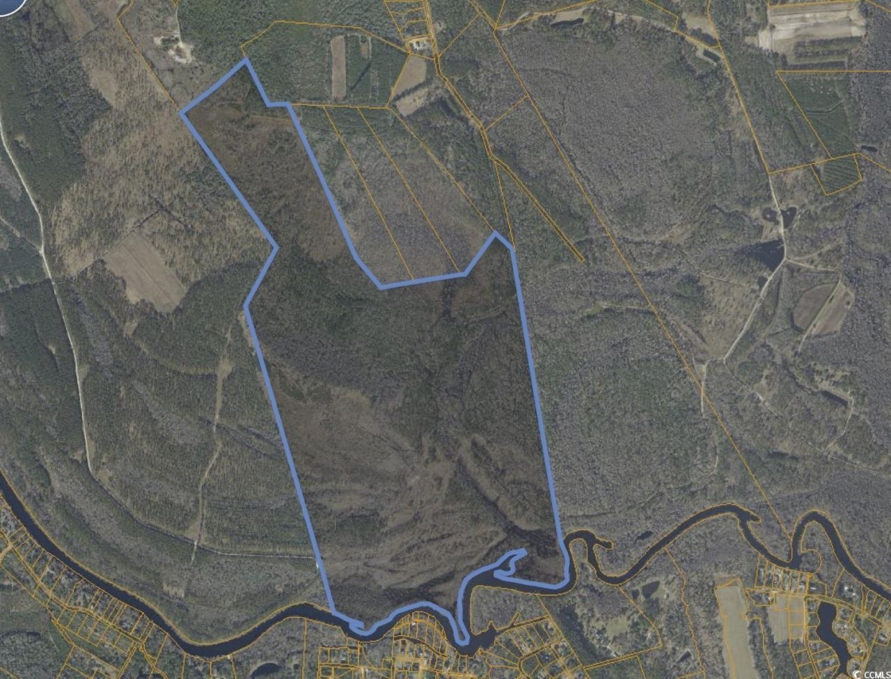 Tbd Grahamville Rd. Photo 7