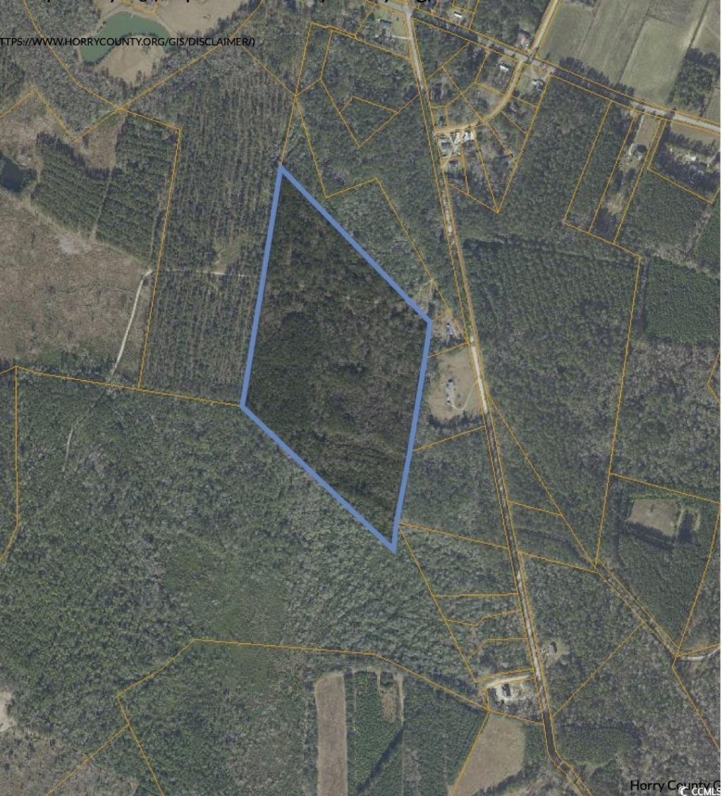 Tbd Grahamville Rd. Photo 8