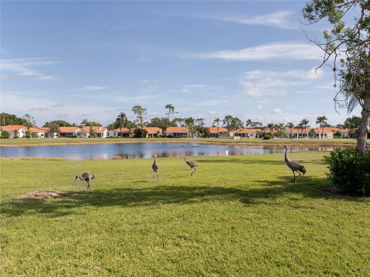 4831 Summertree Road, Venice, FL 34293 Photo