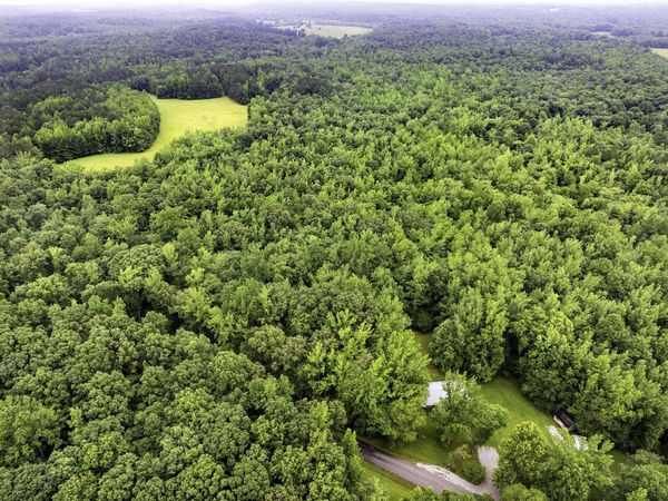 1303 Pugh Rd, Holladay, TN 38341