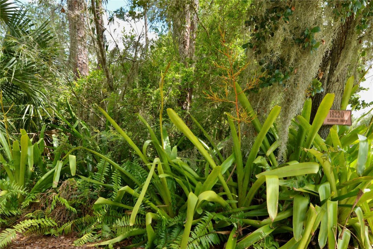 18220 Elmwood Drive, Alva, FL 33920 Photo