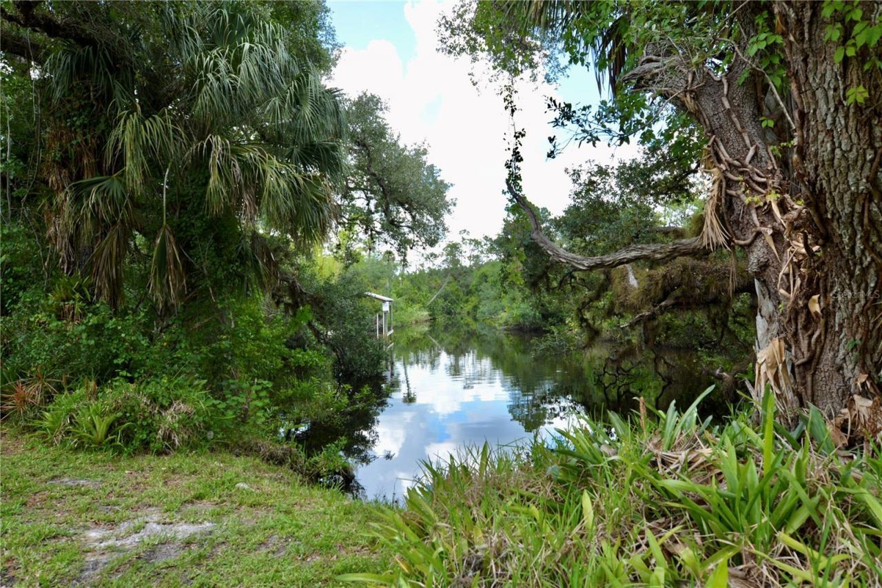 18220 Elmwood Drive, Alva, FL 33920 Photo