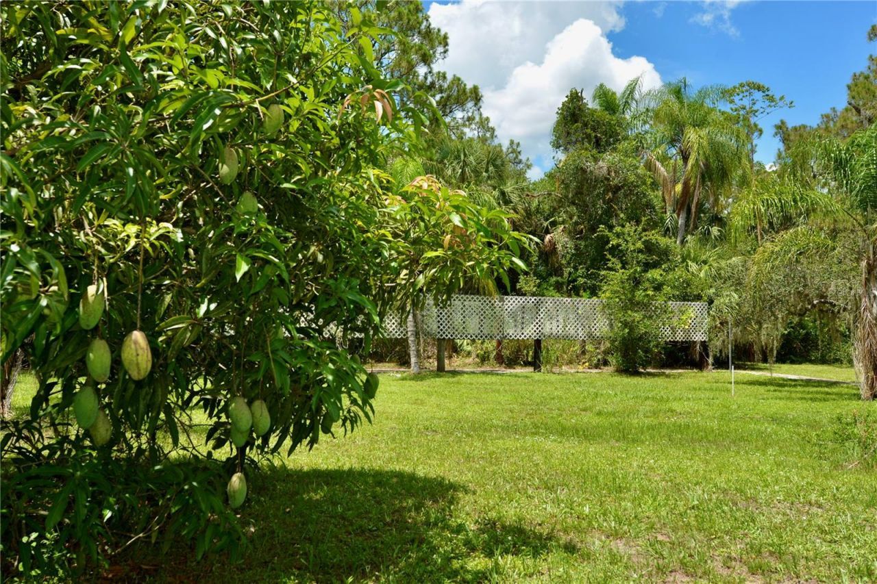 18220 Elmwood Drive, Alva, FL 33920 Photo