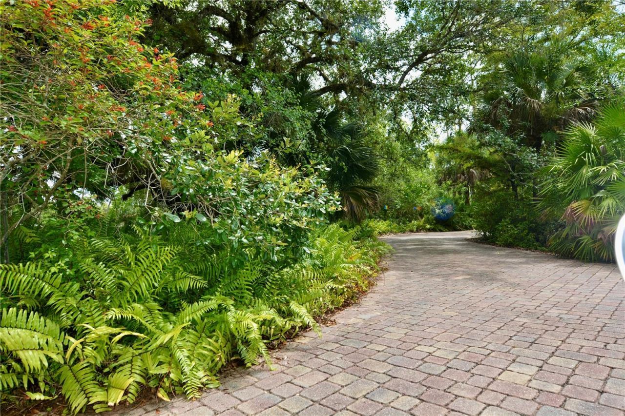 18220 Elmwood Drive, Alva, FL 33920 Photo