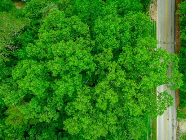 7441 Short Tail Springs Road, Harrison, TN 37341