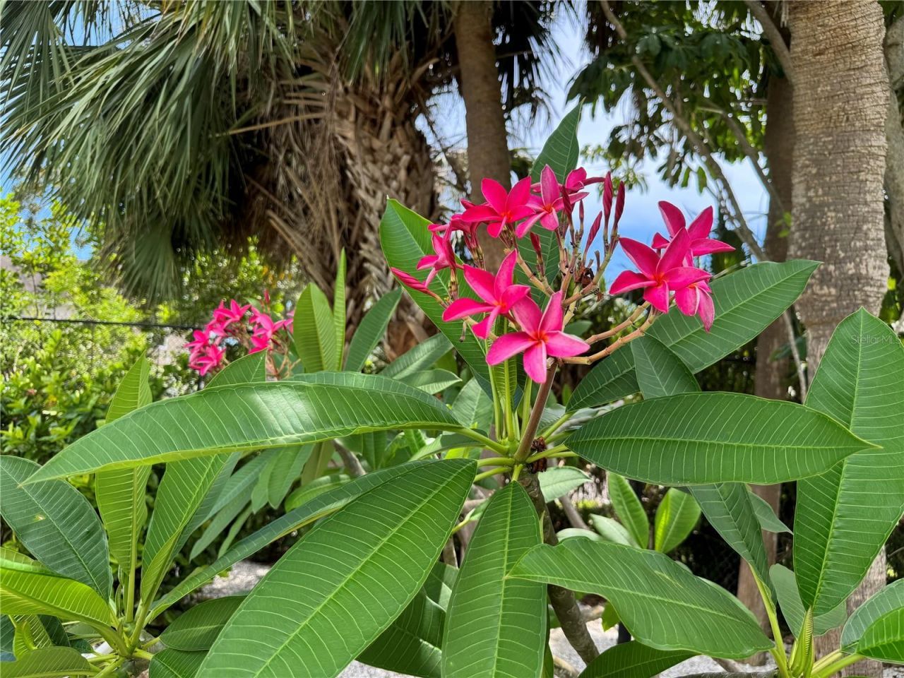 3810 75th Street W, Unit 137, Bradenton, FL 34209 Photo