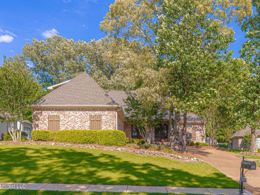 Property Image 6