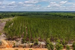 0 Old Cc Road photo 4