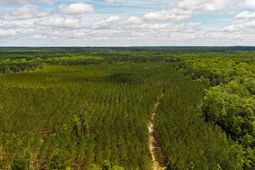 0 Old Cc Road photo 4