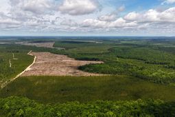 0 Old Cc Road photo 4