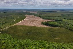 0 Old Cc Road photo 4